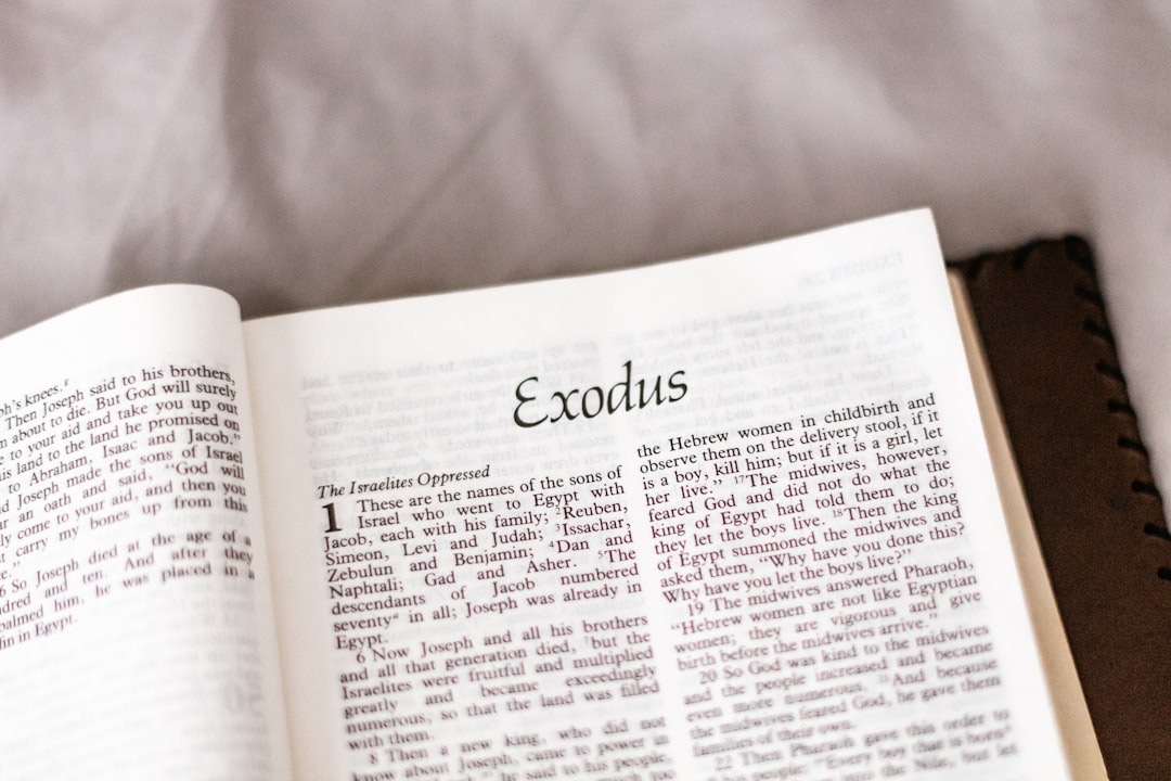When Life Feels Like a Setback: What the Exodus Story Reveals About How God Works Behind the Scenes